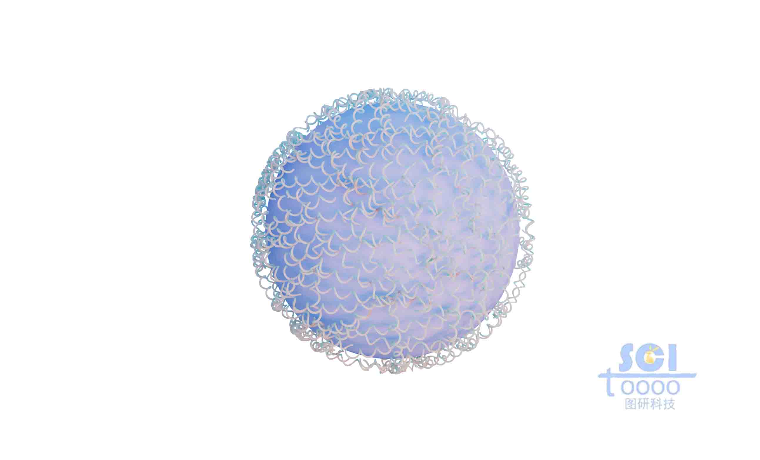蛋白结构聚合的纳米球