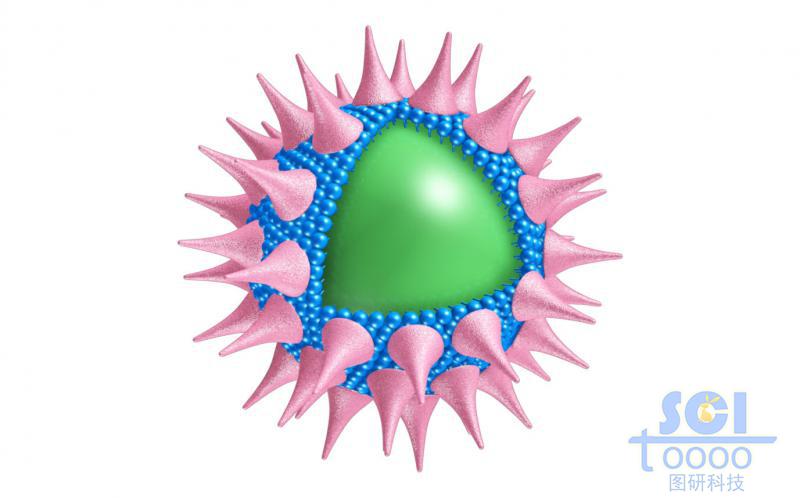 表面有锥形高分子结构粘附的实心球