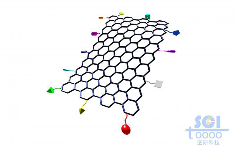 四周带小分子基团的柔性石墨烯片