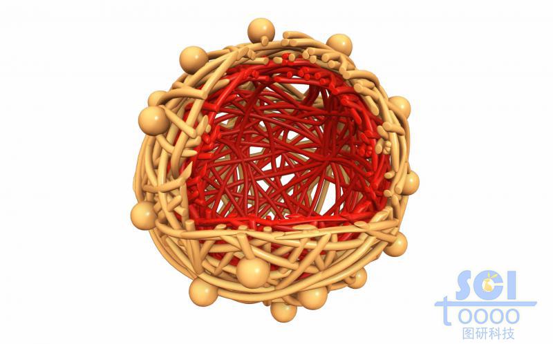 两段式高分子链段团聚/交联形成的双层笼状纳米药物